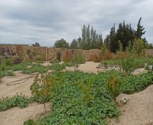 novxanida torpaq satilir Novxanı, Abşeron r.