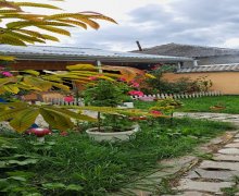 Kirayə (günlük) Həyət evi/villa Qusar ş.