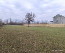 Satılır Torpaq Qəbələ ş.