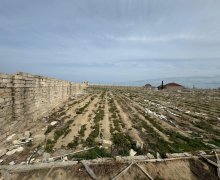 buzovnada torpaq satilir Buzovna, Xəzər r.