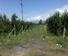 kreditle torpaq alqi satqis Qəbələ ş.