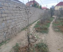 elanlari alqi satqisi elanlari Koroğlu m., Bilgəh qəs., Sabunçu r.