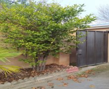 Satılır Həyət evi/villa Novxanı, Abşeron r.