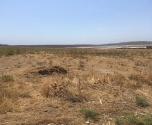 novxanida torpaq satilir Novxanı, Abşeron r.