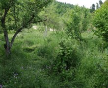 Kirayə (günlük) Həyət evi/villa Qusar ş.