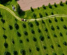 Продажа Участок Шеки г.