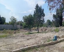 Продажа Участок пос. А.Асланов, Хетаи р.