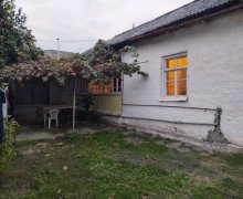 Kirayə (aylıq) Həyət evi/villa Quba ş. Kirayə (aylıq) Həyət evi/villa Quba ş.