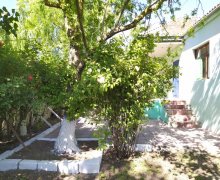 Kirayə (günlük) Həyət evi/villa Xaçmaz / Nabran ş.