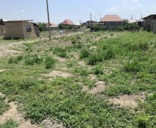 Satılır Torpaq Gəncə ş.