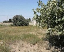 Satılır Torpaq Kürdəxanı qəs., Sabunçu r.