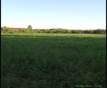 Satılır Torpaq Qəbələ ş.