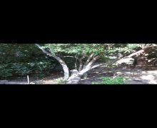 Satılır Həyət evi/villa İnşaatçılar m., Yasamal qəs., Yasamal r.