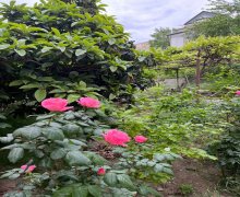 Satılır Həyət evi/villa Neftçilər m., Bakıxanov qəs., Sabunçu r.