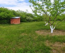 Satılır Torpaq Qusar ş.