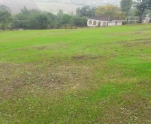 elanlari alqi satqisi elanlari Lerik ş.