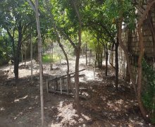 Satılır Torpaq Qaraçuxur qəs., Suraxanı r.