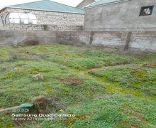 Satılır Torpaq Binə qəs., Xəzər r.