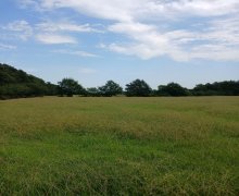 elanlari alqi satqisi elanlari Koroğlu m., Pirşağı qəs., Sabunçu r.