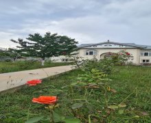 Kirayə (günlük) Həyət evi/villa Qəbələ ş.