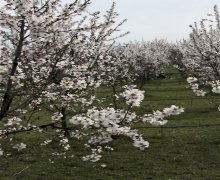 Продажа Участок Исмаиллы г.