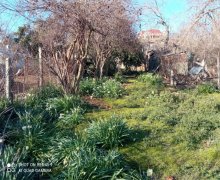 elanlari alqi satqisi elanlari Rəsulzadə qəs., Binəqədi r.