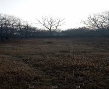 Satılır Torpaq Qəbələ ş.