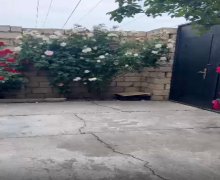 Аренда Дома/Виллы Масазыр, Абшерон р.