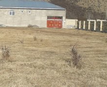 elanlari alqi satqisi elanlari Şəki ş.