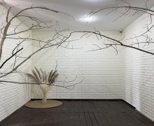 Kirayə (aylıq) Obyekt Nəriman Nərimanov m., Nərimanov r.