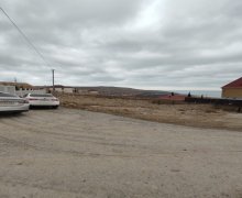 badamdar Torpaq Badamdar qəs., Səbail r. badamdar Torpaq Badamdar qəs., Səbail r.