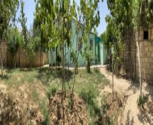 Kirayə (aylıq) Həyət evi/villa Azadlıq m., Rəsulzadə qəs., Binəqədi r.