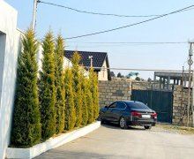 elanlari alqi satqisi elanlari Bilgəh qəs., Sabunçu r.