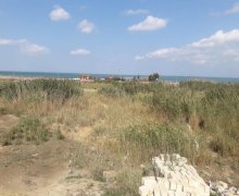 novxanida torpaq satilir Novxanı, Abşeron r.