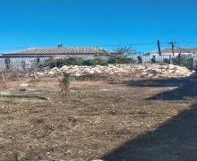 Satılır Torpaq Avtovağzal m., Biləcəri qəs., Binəqədi r.