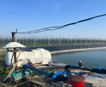 elanlari alqi satqisi elanlari Xaçmaz / Xudat ş.