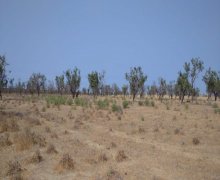 Satılır Torpaq Kürdəxanı qəs., Sabunçu r.