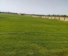 Satılır Torpaq Binə qəs., Xəzər r.