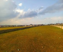 Satılır Torpaq Saray, Qafqaz Universiteti, Abşeron r.