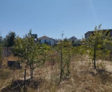 qurd deresi torpaq alqi satqisi Sumqayıt ş.