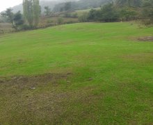 elanlari alqi satqisi elanlari Lerik ş.