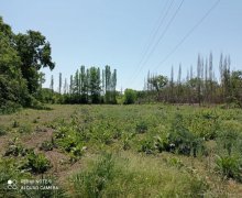 elanlari alqi satqisi elanlari Xaçmaz / Xudat ş.