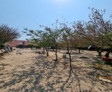 Satılır Torpaq Mərdəkan, Xəzər r.