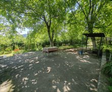 Kirayə (günlük) Bağ evi Qəbələ ş.