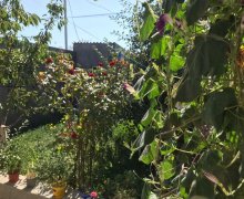 Satılır Həyət evi/villa Digah, Abşeron r.