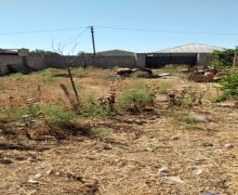 rayonlarda torpaq alqi satqisi Məhəmmədli, Abşeron r.