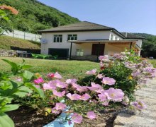 lerik günlük istirahet merkezleri/villa Lerik ş.