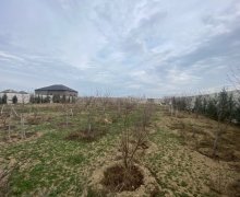 Satılır Torpaq Şüvəlan, Xəzər r.