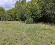 qebelede torpaq alqi satqisi Qəbələ ş.