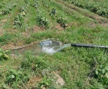 mastagada torpaq alqi satqisi Maştağa qəs., Sabunçu r.